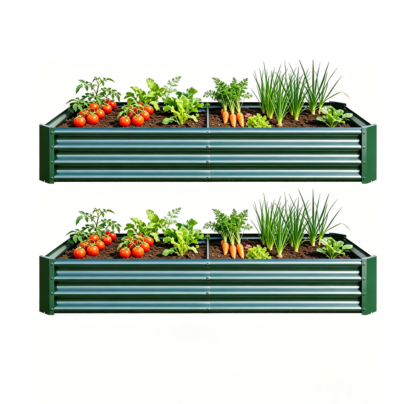 Premium Galvanized Metal Raised Garden Bed Set of 2 by HouseOfZazla