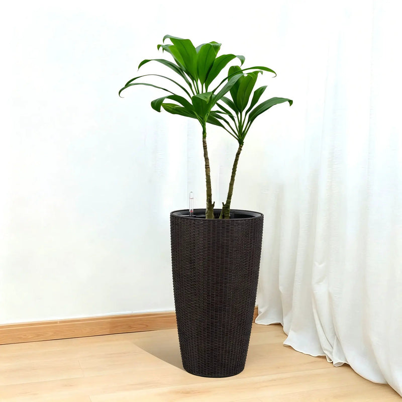 Tall Planters Set With Water Level Monitor And Auto Watering by Unique Piece Furniture