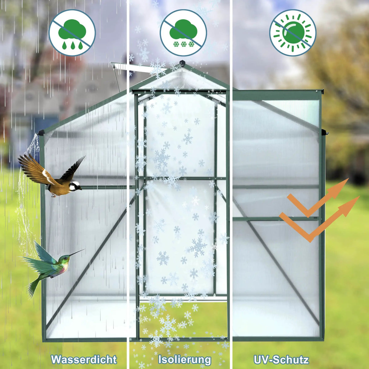 Polycarbonate Greenhouse - 6'x8' Heavy Duty Walk-in Plant Garden Greenhouse by HouseOfZazla