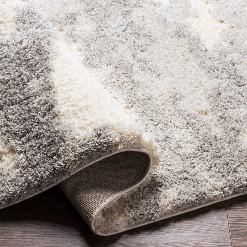Dagami Area Rug by Boutique Rugs