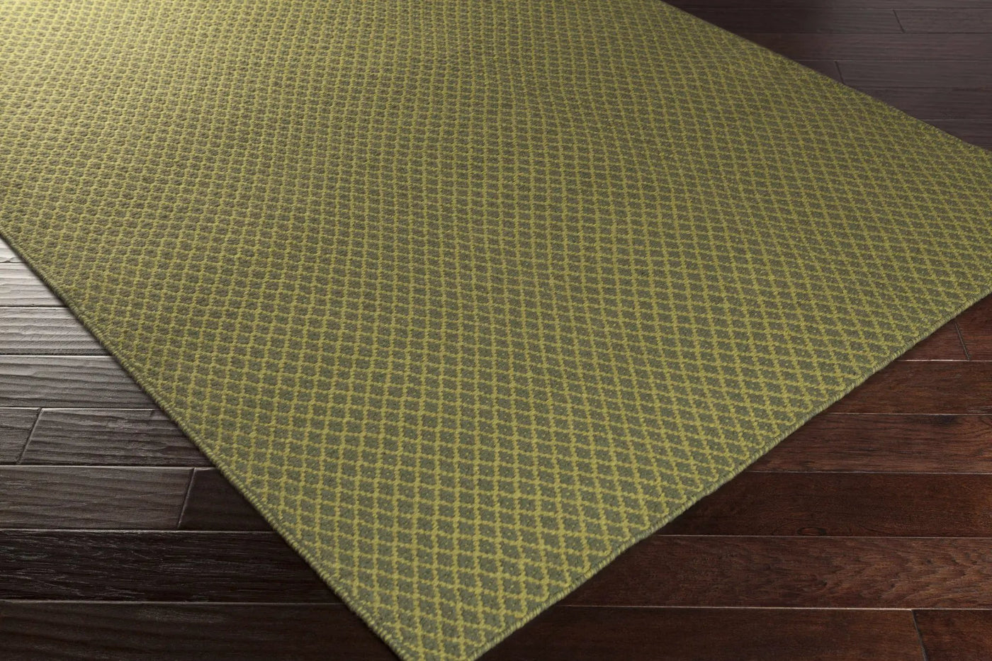 Dana Area Rug - Clearance by Boutique Rugs