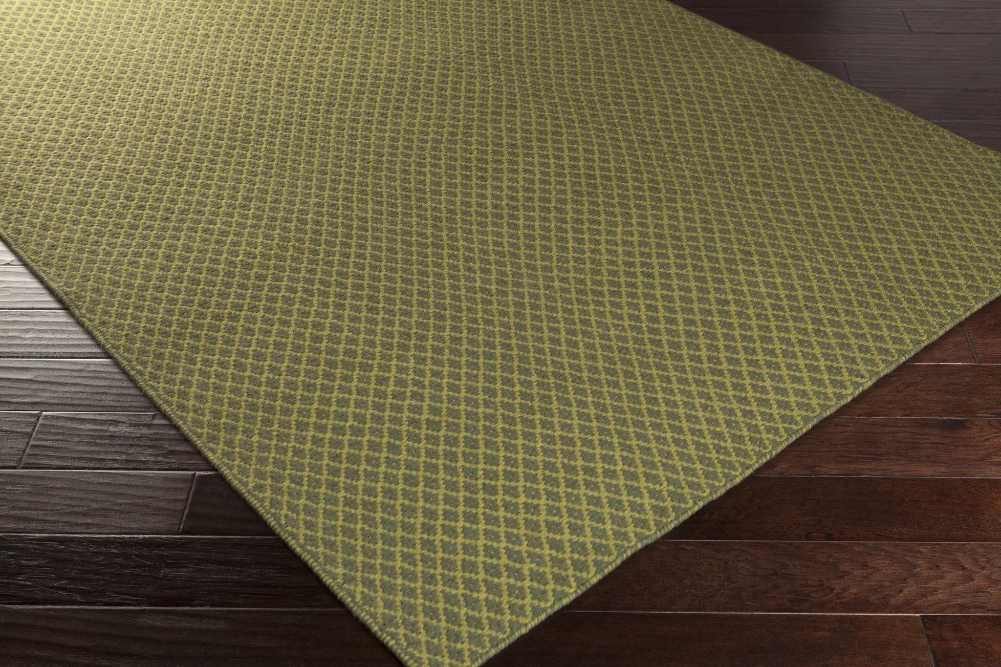 Dana Area Rug - Clearance by Boutique Rugs