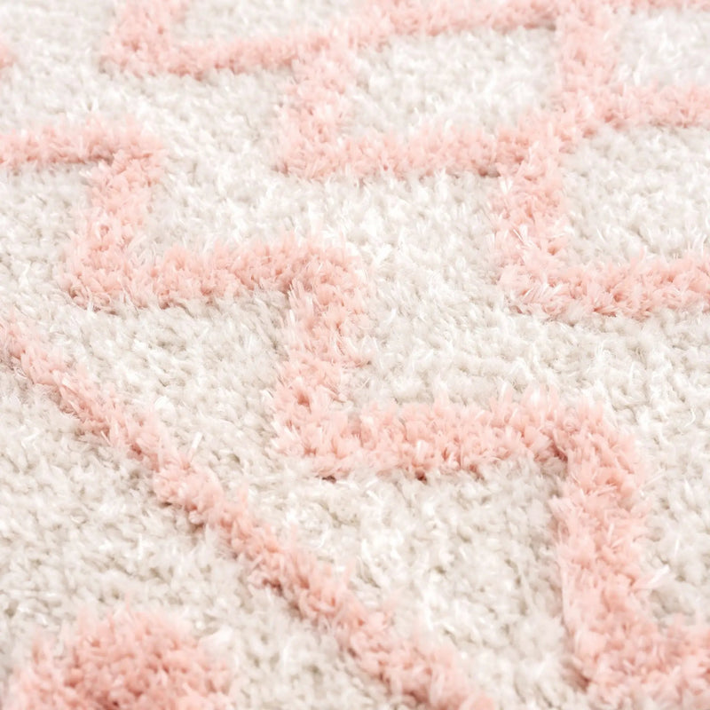 Darva Pink Plush Area Carpet by Boutique Rugs