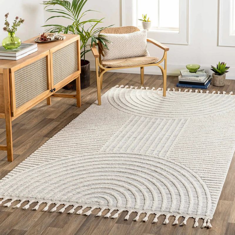 Dauin 3D Rainbow Area Rug with Tassels by Boutique Rugs