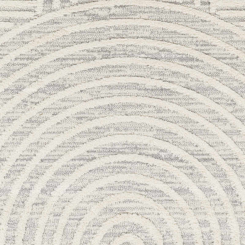 Dauin 3D Rainbow Area Rug with Tassels by Boutique Rugs