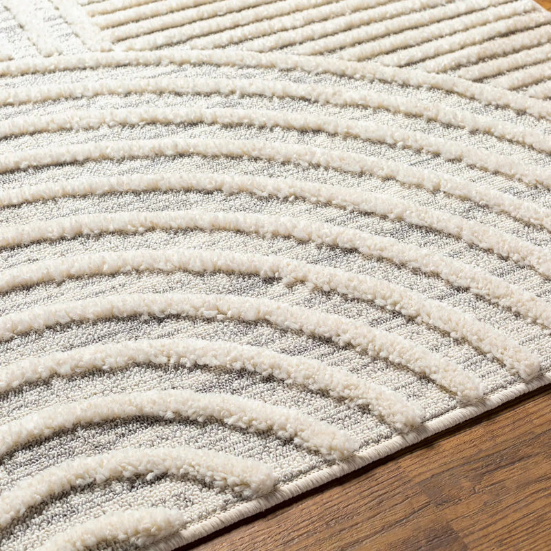 Dauin 3D Rainbow Area Rug with Tassels by Boutique Rugs
