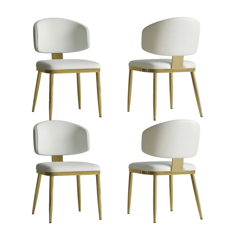 Modern Dining Chairs For Kitchen (Set of 2) by HouseOfZazla