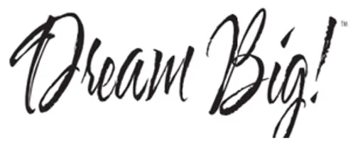 Dream Big Twin Pack Bed Pillows by HouseOfZazla