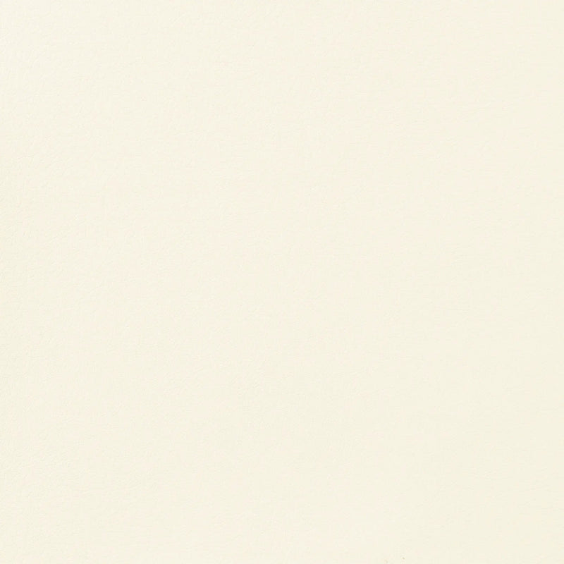 Earline - Upholstered Track Arm Accent Chair - White