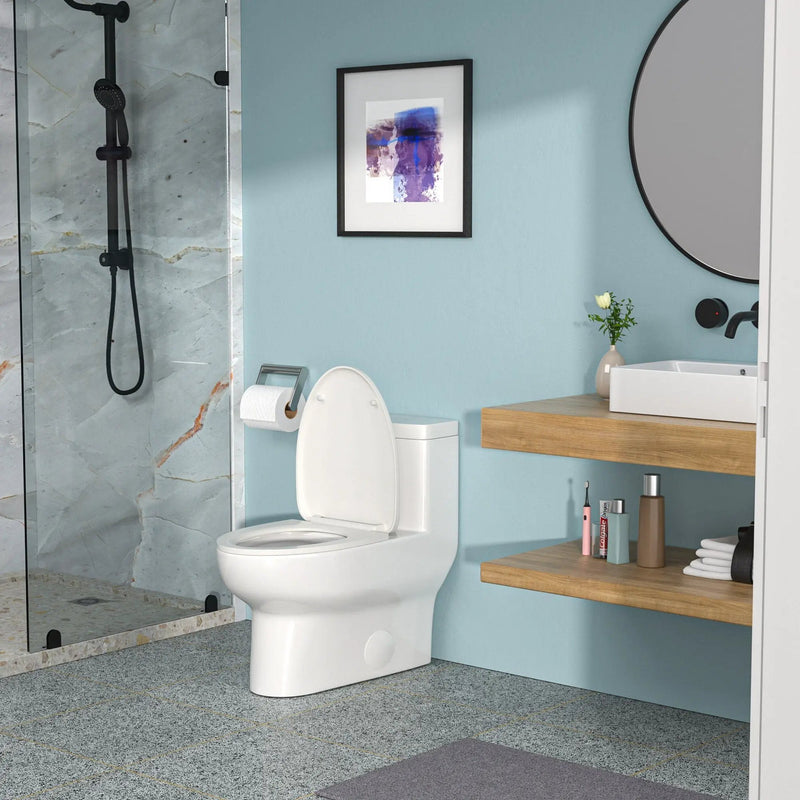 Modern Ceramic 1 Piece Toilet With Single Flush And Soft Closing Seat - White by HouseOfZazla