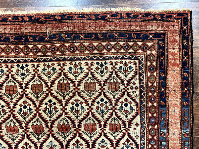 Antique Caucasian Rug 4x6, Hand Knotted Wool Carpet, Shirvan Rug by Jewel Rugs
