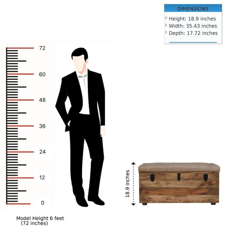 Buffalo - Storage Trunk by HouseOfZazla