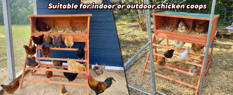 3-in-1 Nesting Boxes for Chickens with Perch and Swing by HouseOfZazla