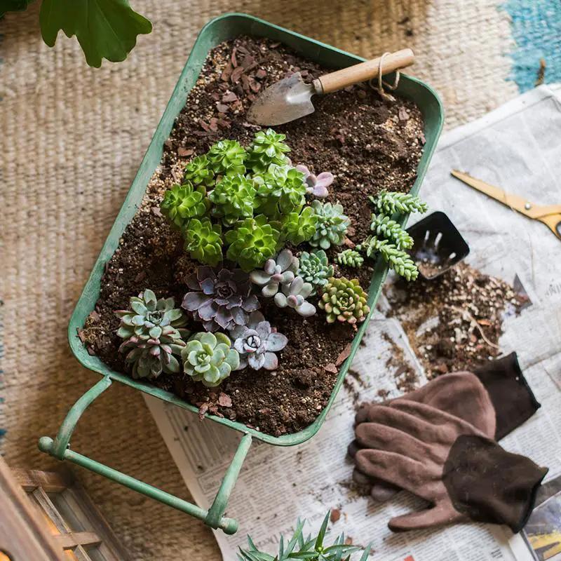 Decorative Planter Cart Green Metal Cart Planter by RusticReach