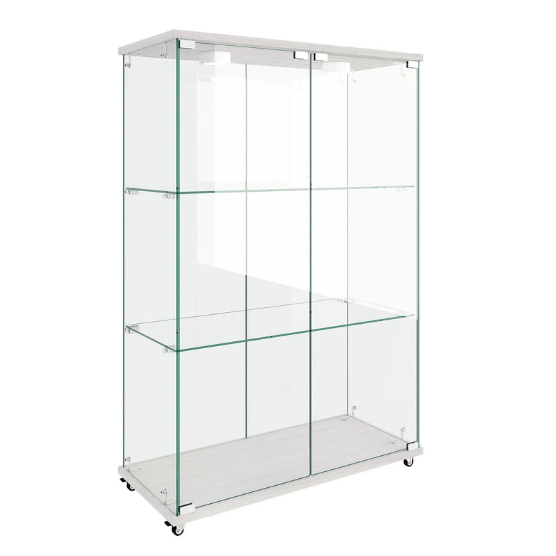 Modern Display Cabinet With LED Lights, Transparent Tempered Glass 2 Door Storage Case With 3 Shelves by Unique Piece Furniture
