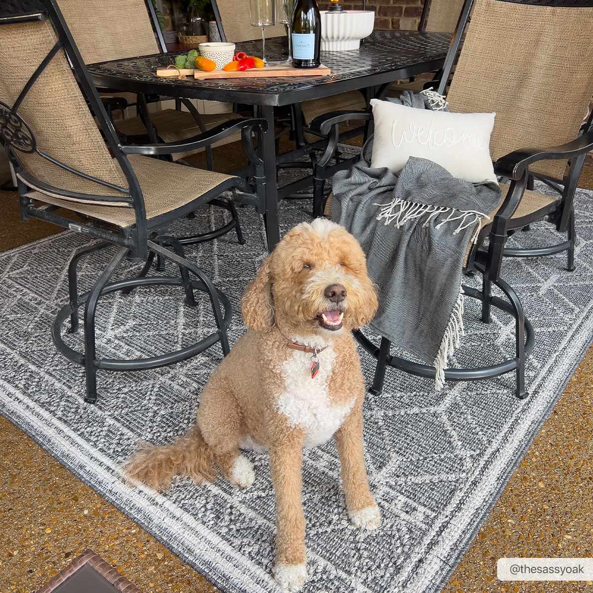 Diah Black & Bone Outdoor Area Rug - Clearance, photo 3 of 20