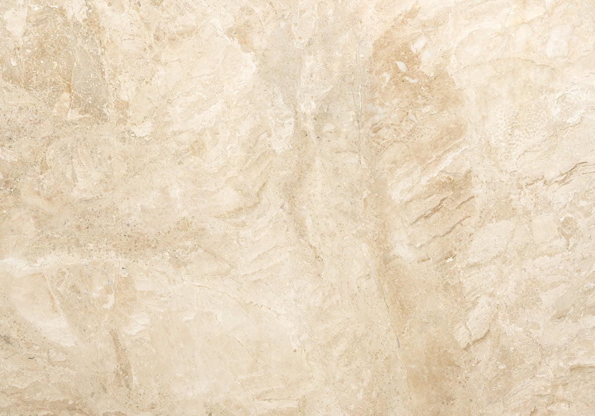 Diana Royal Polished Marble Slab Random 1 1/4