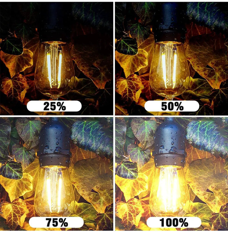 Dimmer with Remote for Our Ambience Pro LED String Lights - Commercial Grade Dimmer Rated at 150 Watts by Outdoor Solar Outlet
