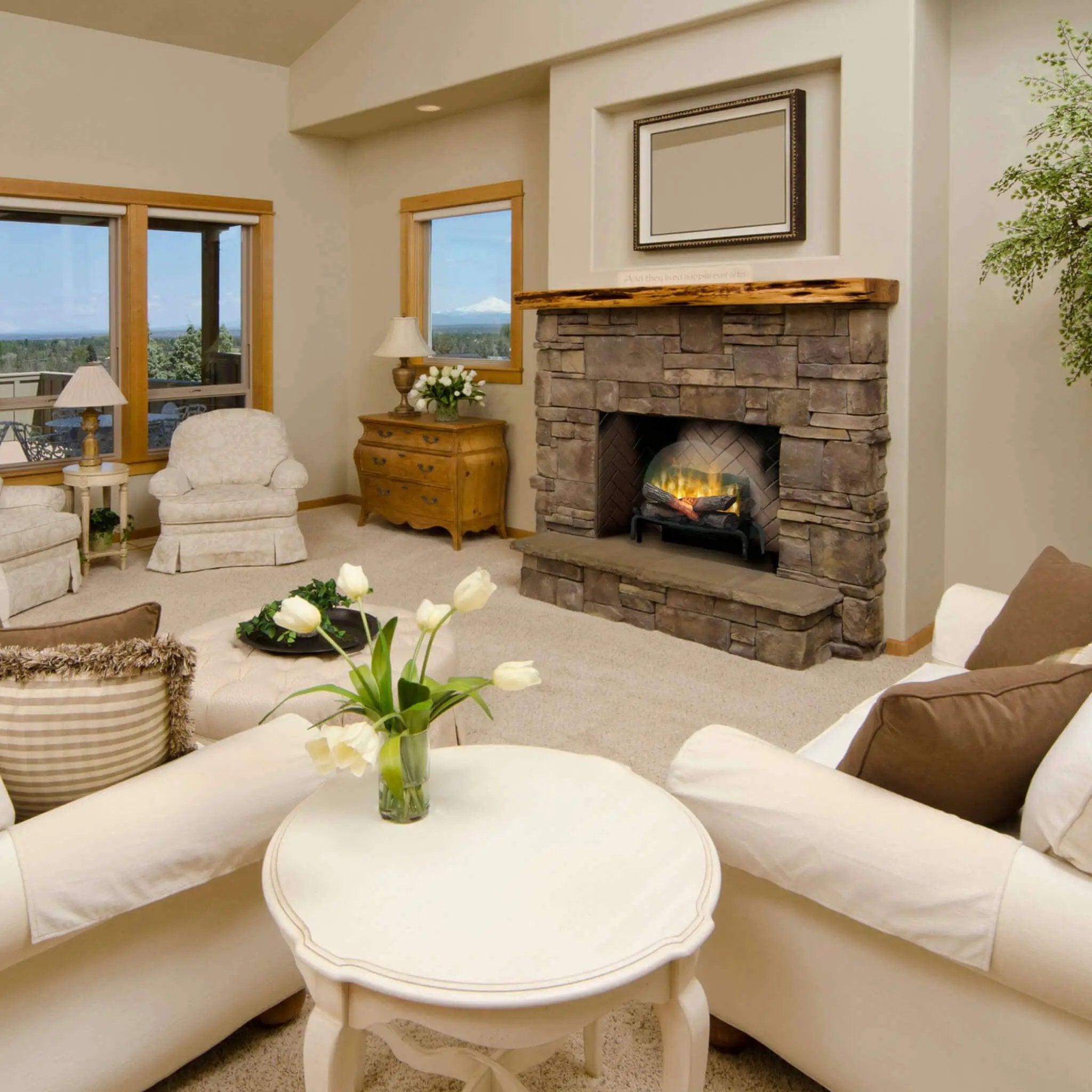 Dimplex Revillusion 20-Inch Electric Fireplace Log Set [RLG20] (SAK29115) by SAKSBY WHOLESALE