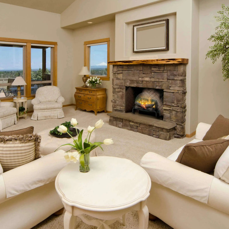 Dimplex Revillusion 20-Inch Electric Fireplace Log Set [RLG20] (SAK29115) by SAKSBY WHOLESALE