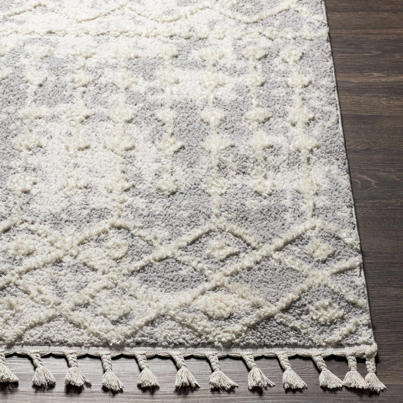 Dolo Area Rug - Clearance by Boutique Rugs
