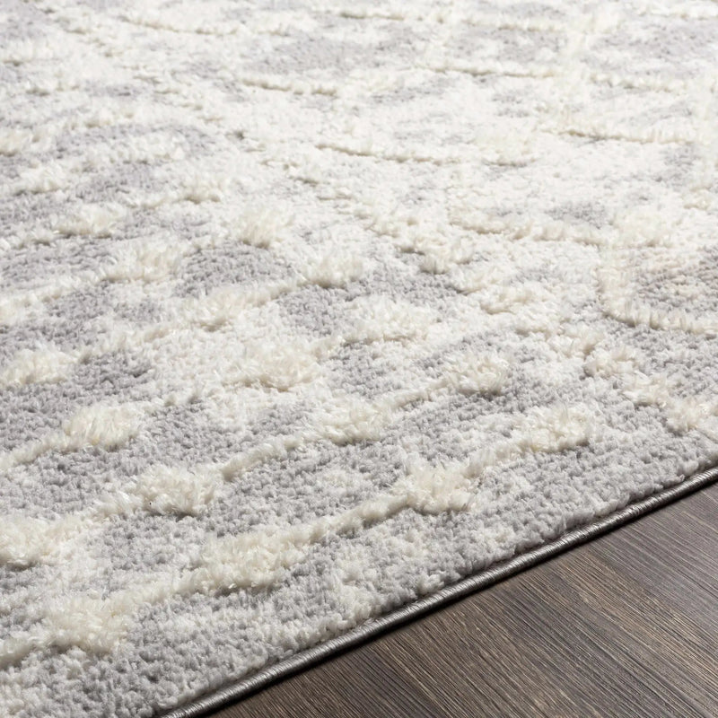 Dolo Area Rug - Clearance by Boutique Rugs