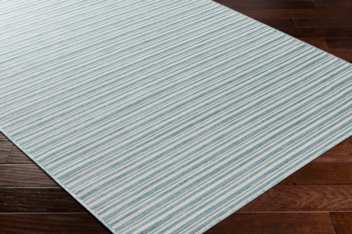 Greg Teal Outdoor Area Rug - Clearance, photo 6 of 9