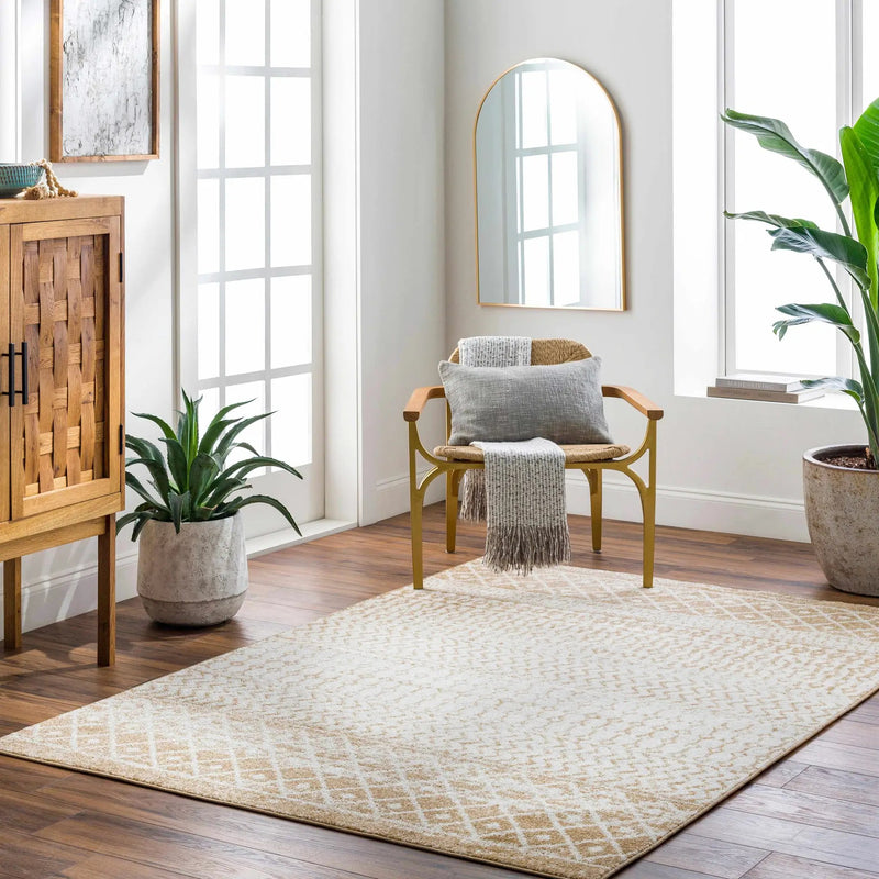 Dong Area Rug - Clearance by Boutique Rugs