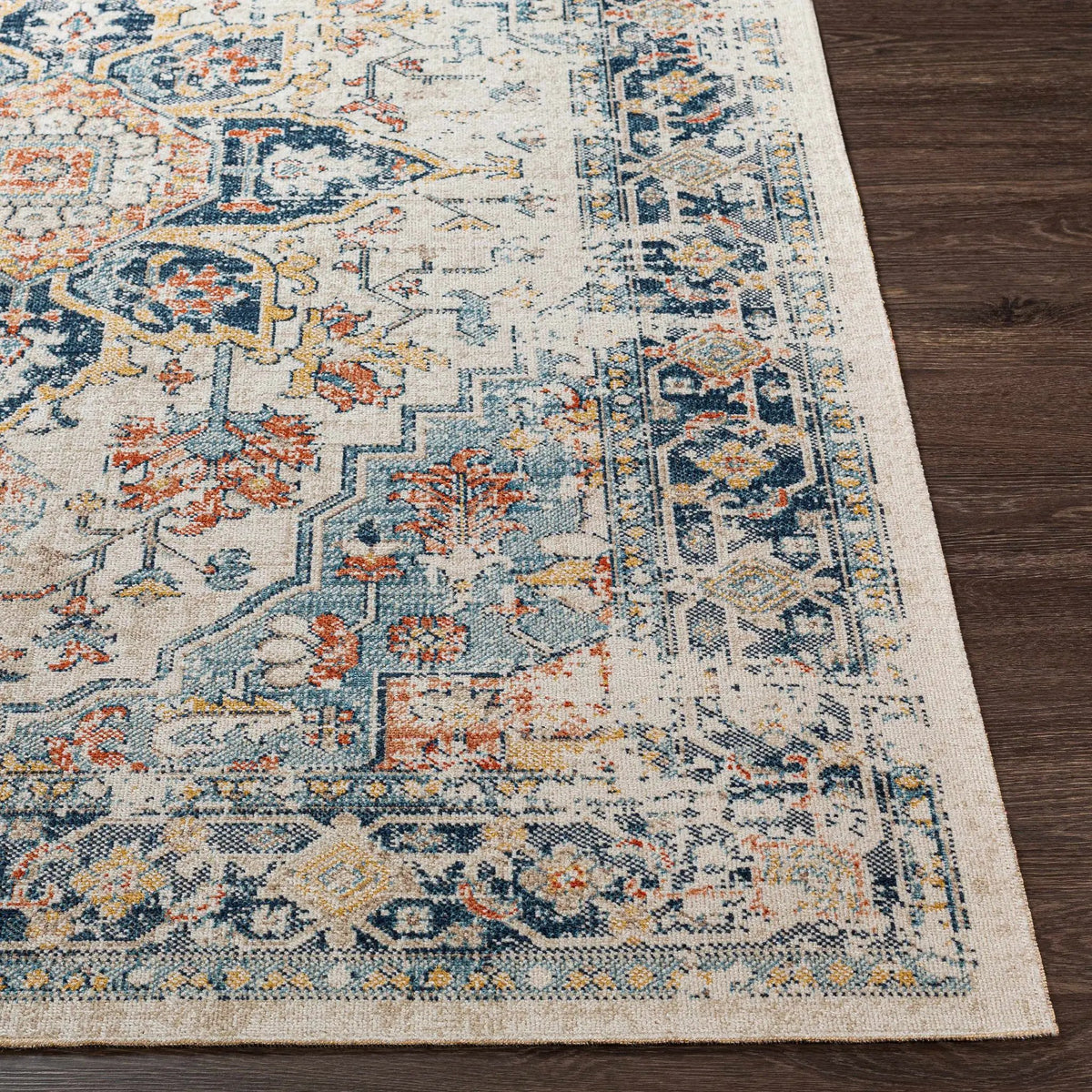 Dorval Traditional Outdoor Rug, photo 7 of 22