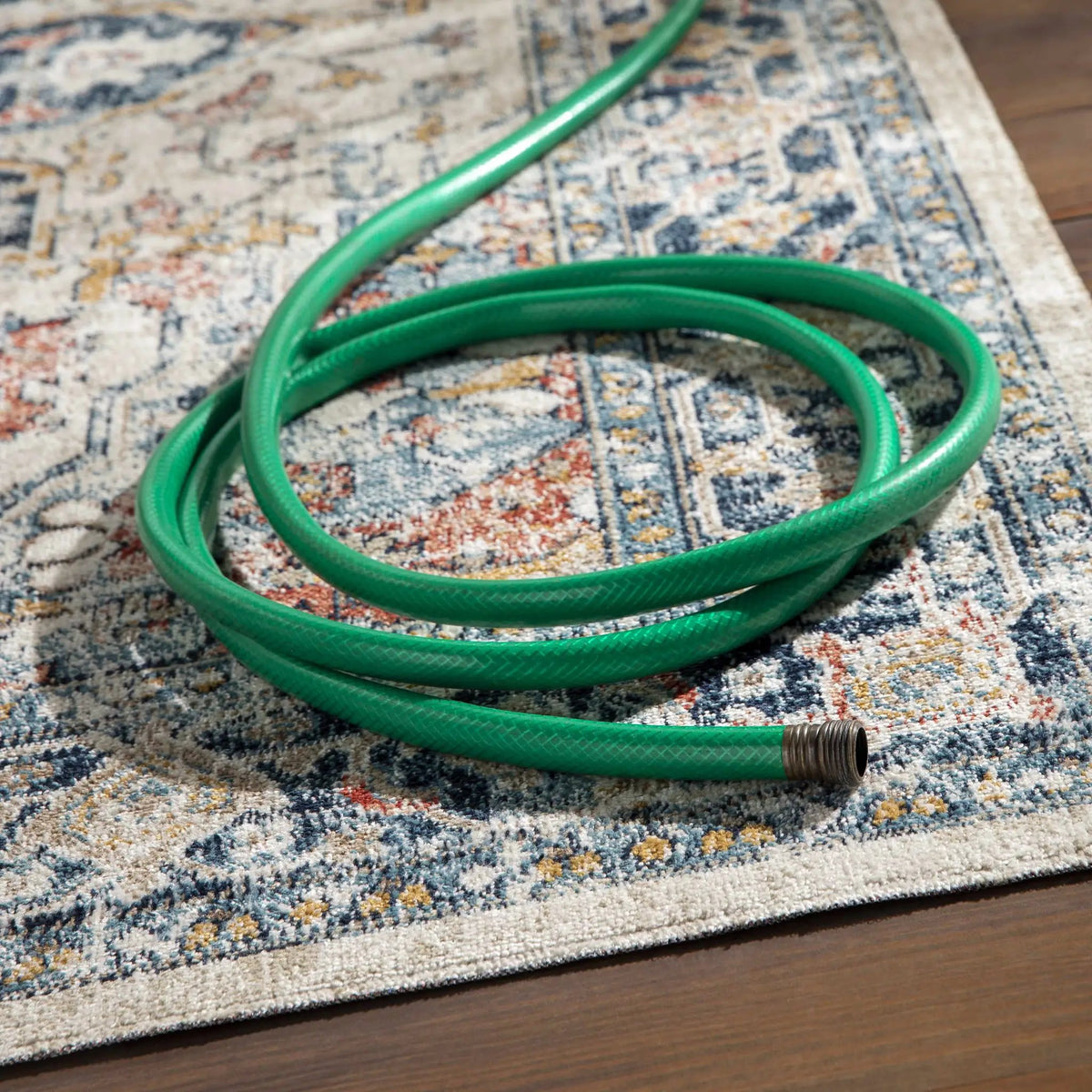 Dorval Traditional Outdoor Rug, photo 20 of 22