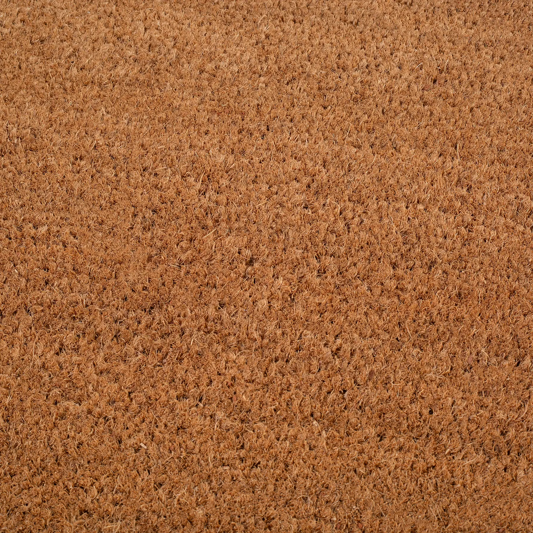 Double Black Border Coir Doormat by Fab Habitat