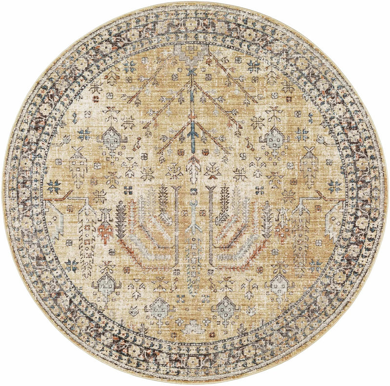 Darla Area Rug - Clearance by Boutique Rugs