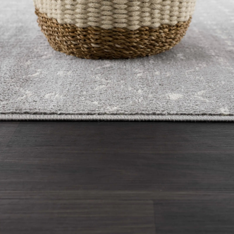 Tigrican Gray 2330 Area Rug - Clearance by Boutique Rugs