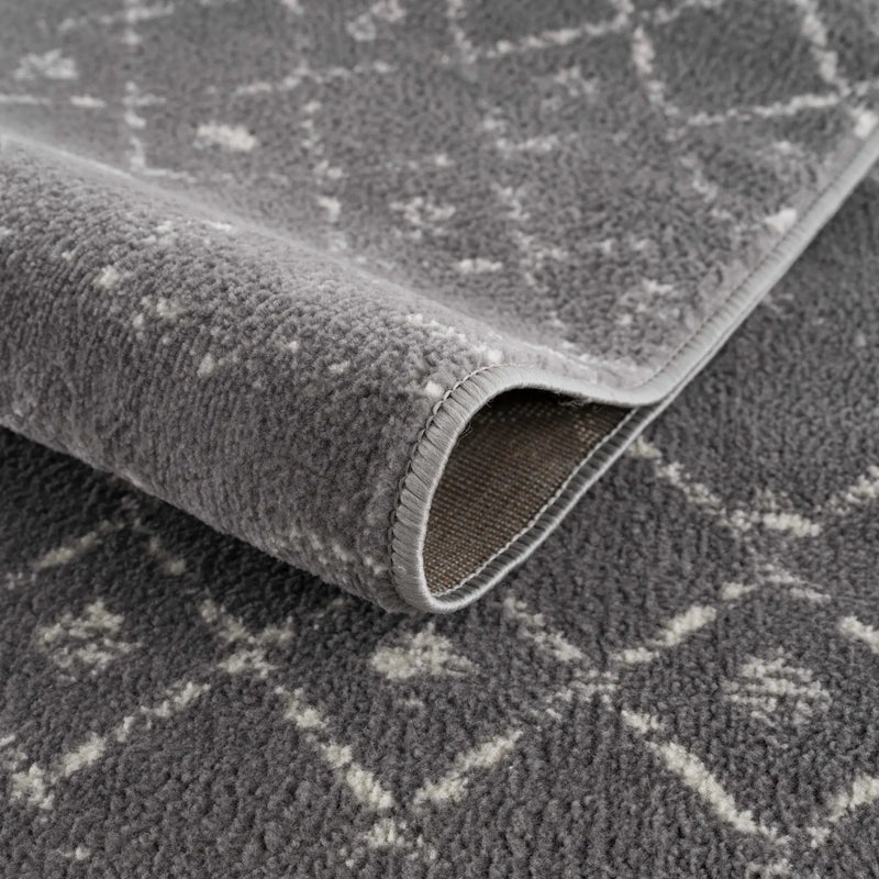 Tigrican Charcoal 2329 Area Rug - Clearance by Boutique Rugs