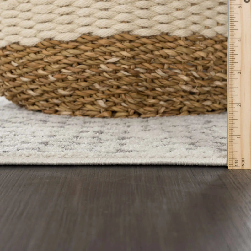 Marash KMRSH-4610 Area Rug - Clearance by Boutique Rugs