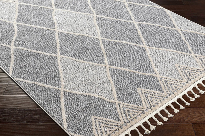 Dumlan Area Carpet - Clearance by Boutique Rugs