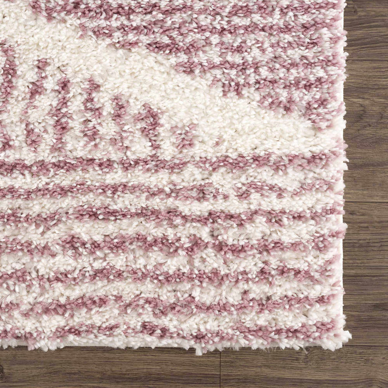 Trunding Plush in Pink Area Rug - Clearance by Boutique Rugs