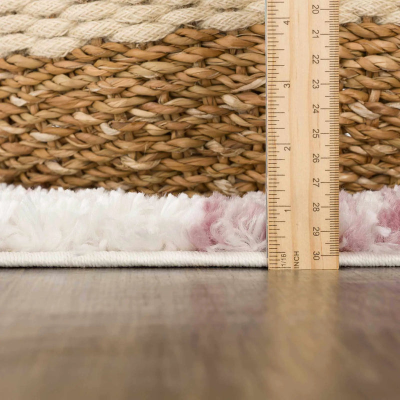 Trunding Plush in Pink Area Rug - Clearance by Boutique Rugs