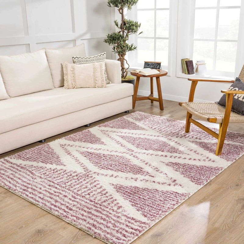 Trunding Plush in Pink Area Rug - Clearance by Boutique Rugs
