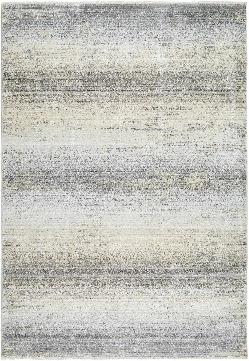 Uzima Gray Area Rug - Clearance by Boutique Rugs
