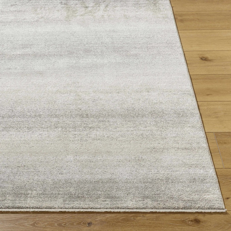 Uzima Gray Area Rug - Clearance by Boutique Rugs