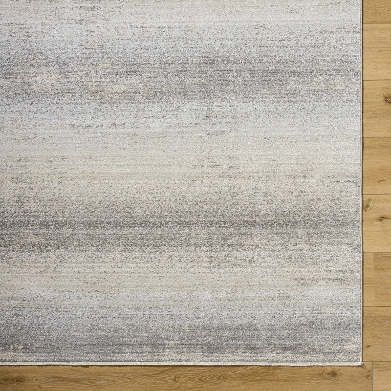 Uzima Gray Area Rug - Clearance by Boutique Rugs