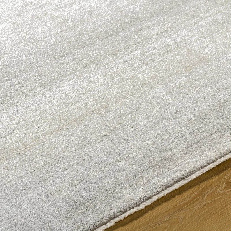 Uzima Gray Area Rug - Clearance by Boutique Rugs