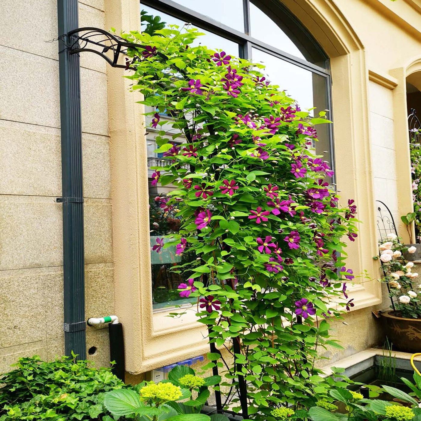 Metal Garden Arch Assemble Freely With 8 Styles Garden Arbor Trellis Climbing Plants Support Rose Arch by Unique Piece Furniture