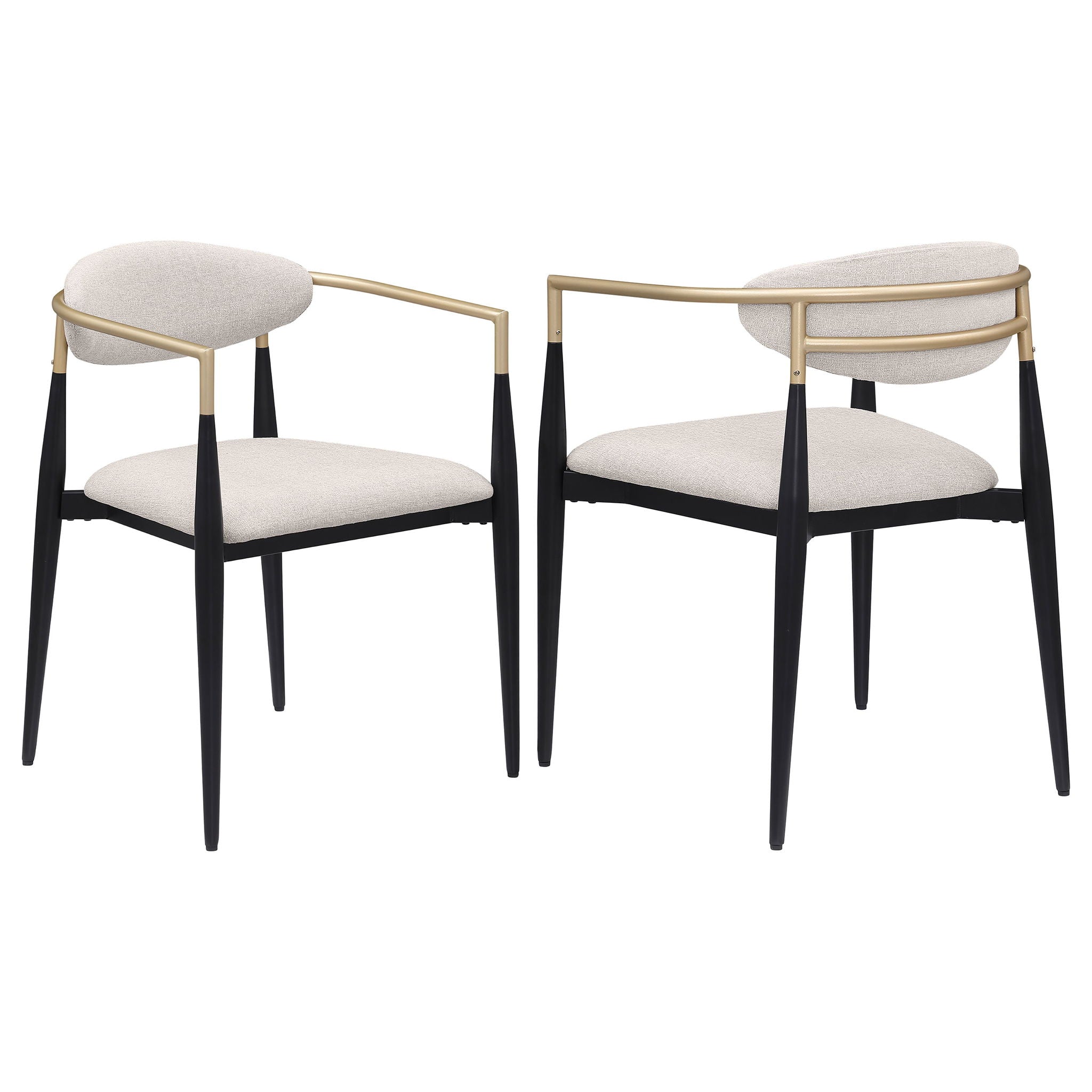 Mistra - Dining Arm Chair (Set of 2) by HouseOfZazla