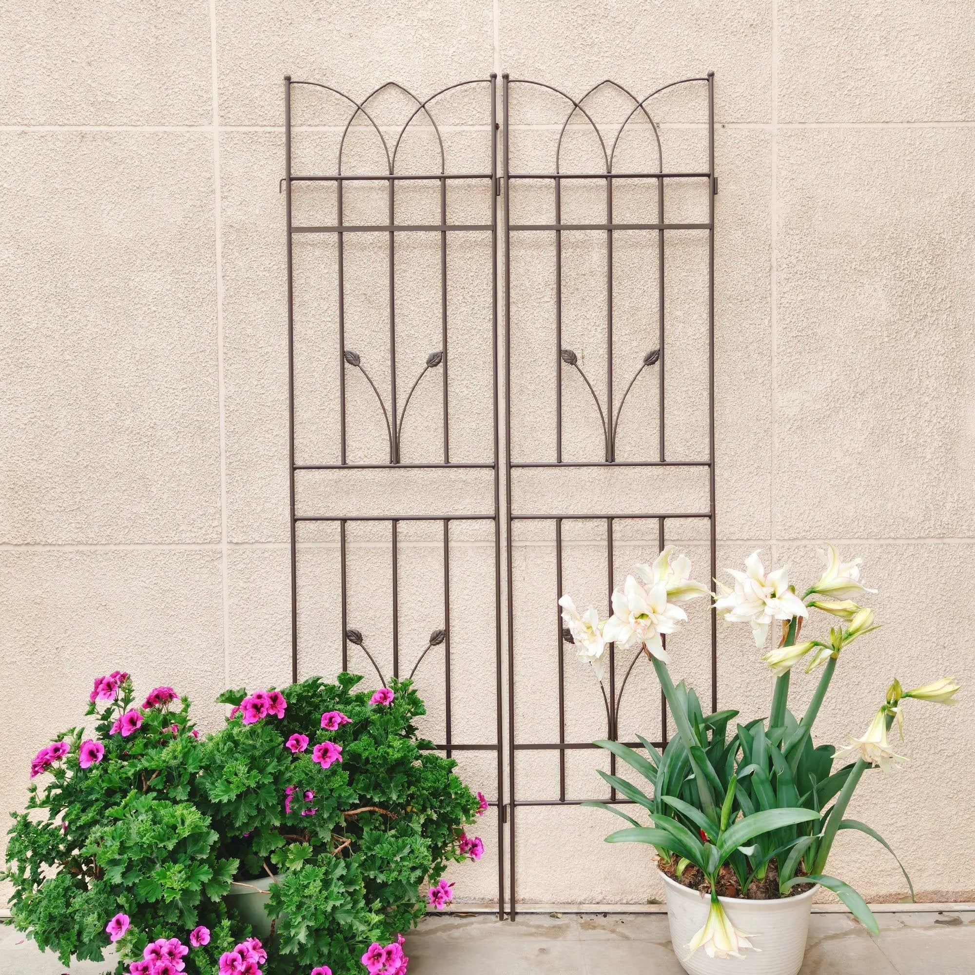 2 Pack Metal Garden Trellis by HouseOfZazla