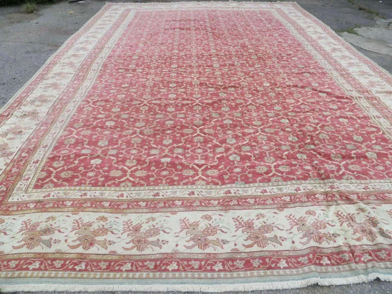 12' X 18' Palace Size Handmade Egyptian Wool Rug Carpet Soft Colors Red & Beige by Jewel Rugs