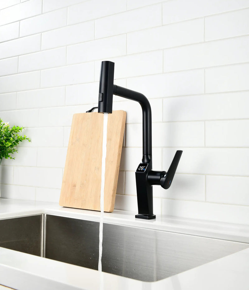 Touchless Matte Kitchen Faucet by HouseOfZazla