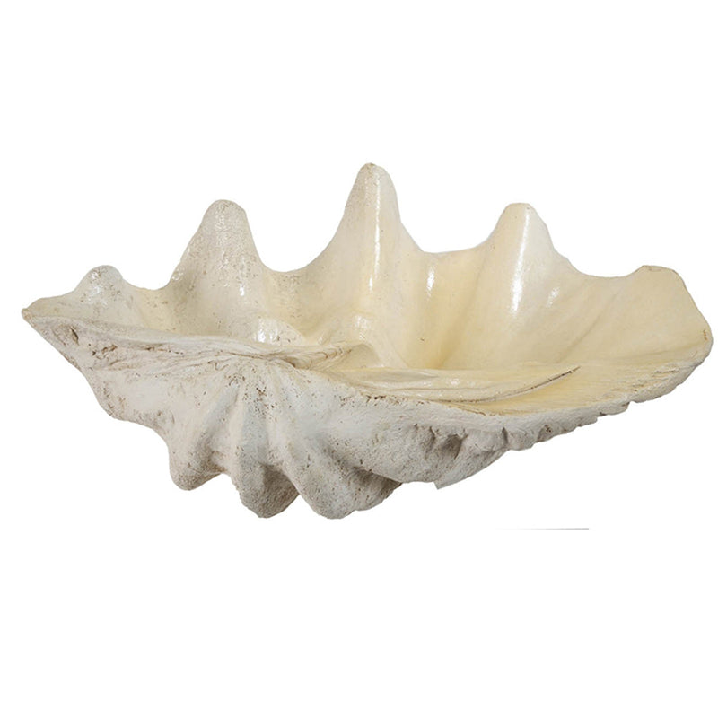 Large Clam Shell Accent 25.3x16.5x8.5" by HouseOfZazla