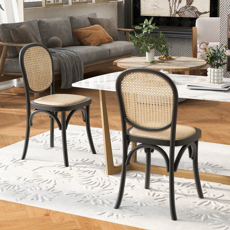 Vintage Style Dining Chairs (Set of 2) by HouseOfZazla